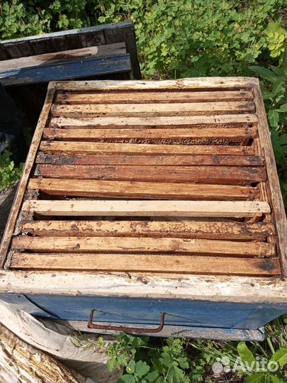 Продаются ульи комплектованные