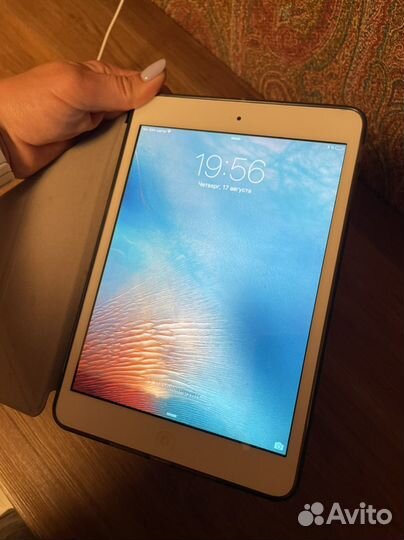 iPad mini 1/2
