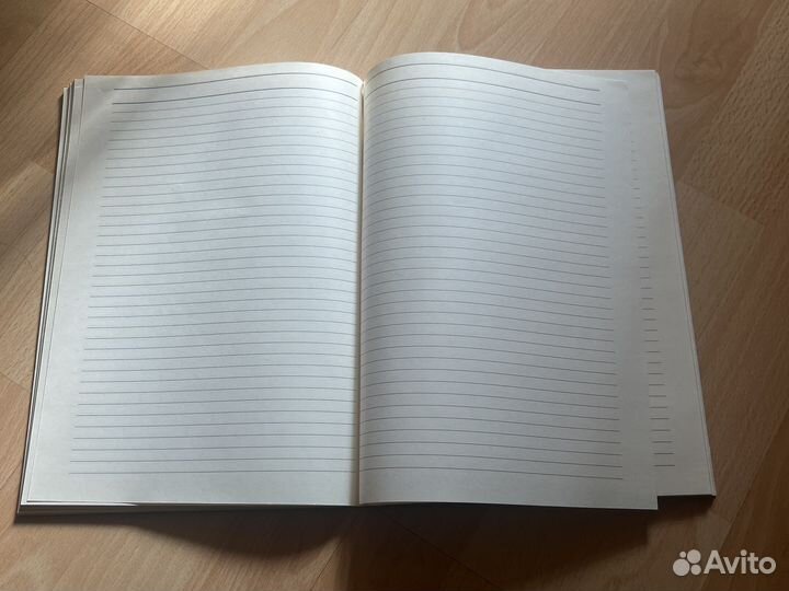 Книги учета. Амбарные книги