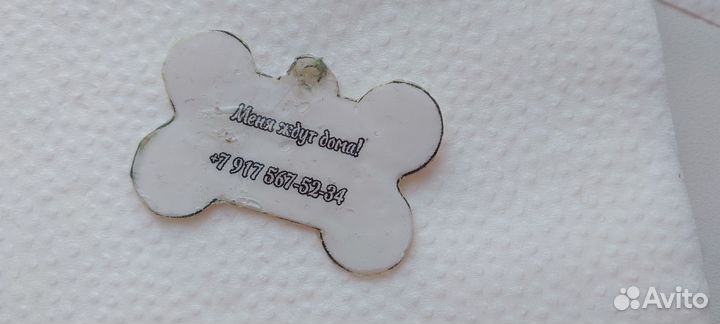 Адресник для животных