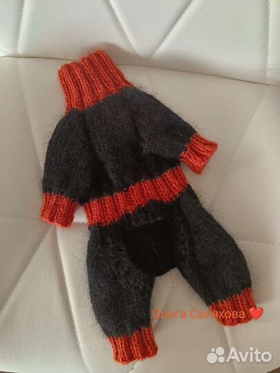 Костюм из ангоры для чихуахуа