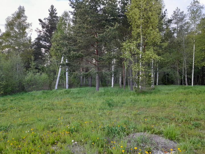 Участок 8,4 сот. (СНТ, ДНП)