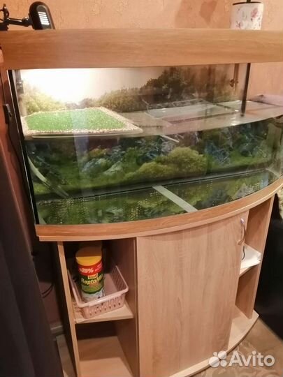 Аквариум для черепахи 200 литров