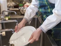 Мойщик посуды в столовую