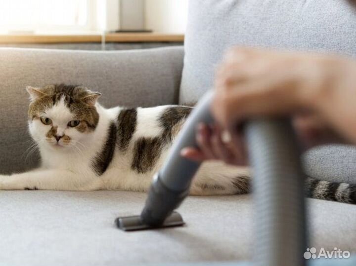 Чистка мягкой мебели на дому с выездом