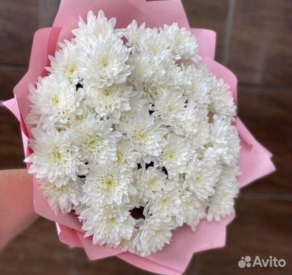 Хризантема кустовая