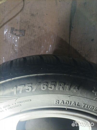 Dynamo Snow-H Arctic 175/65 R14 88