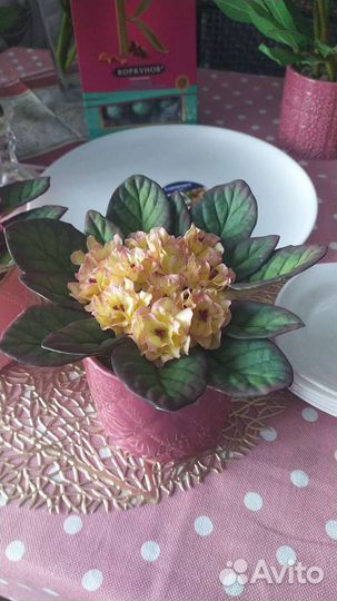 Фиалка из фоамирана