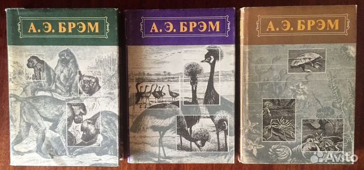 А.Э. Брэм, Д. Г. Вуд, Дж. Даррелл, В.Конецкий