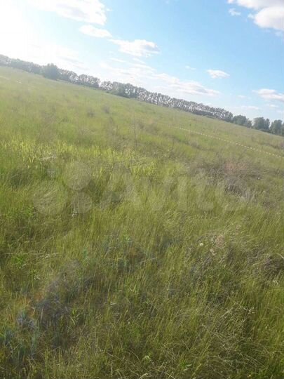 Участок 5 га (СНТ, ДНП)