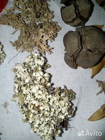 Природный материал