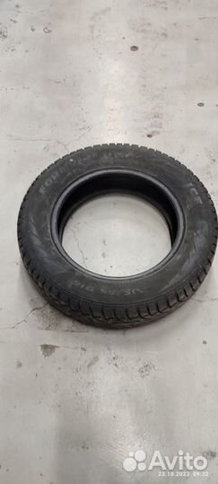 Formula Ice 205/65 R16 99T