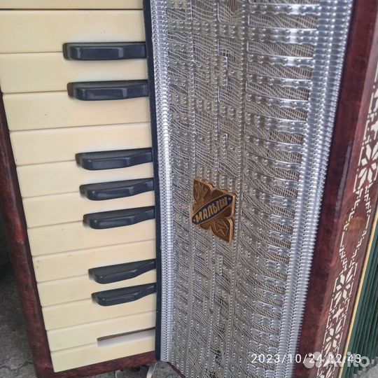 Подростковый аккардеон Юность