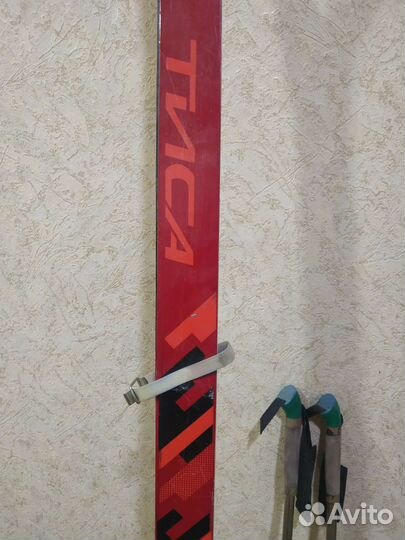 Беговые лыжи тиса