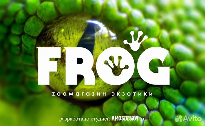 Создать логотип, сайт-лендинг landing page