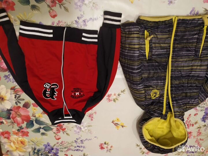 Отдам бесплатно