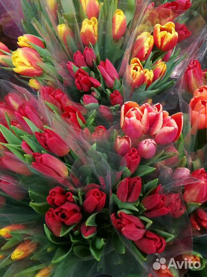 Курьер. Любая помощь. Поручения