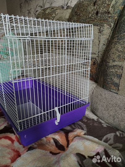 Клетка для грызунов большая