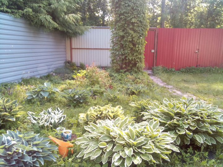 Участок 8 сот. (ИЖС)