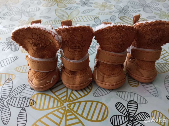 Тапочки для маленькой собаки