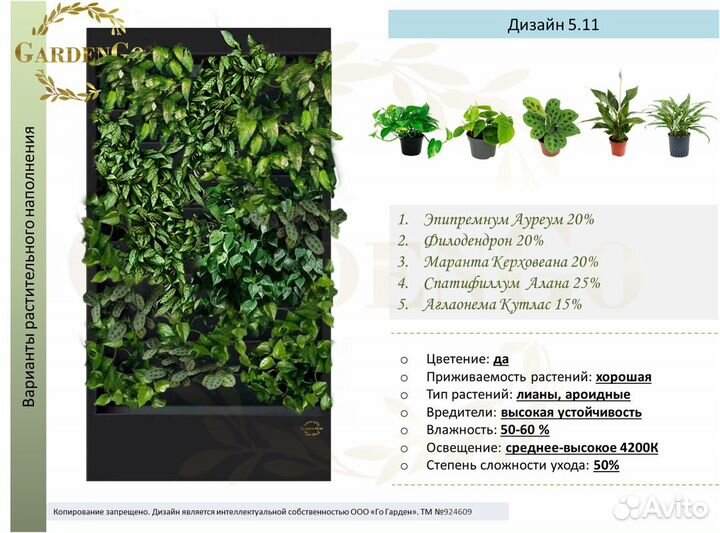 Фитостена №5.11 с автополивом и растениями
