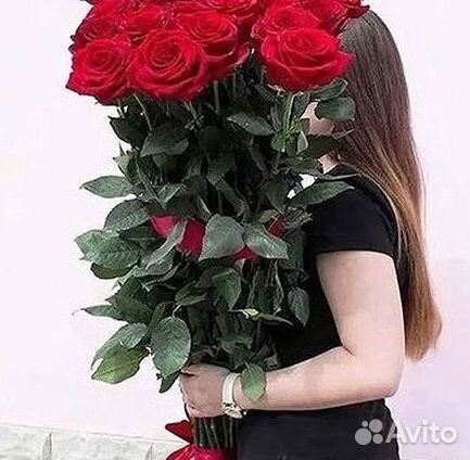 Высокие розы Гигантские Розы 150 160 170 180 190см
