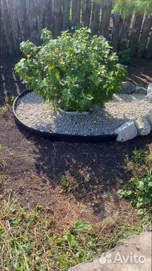 Транспортерная лента на гусеничные болотоходы