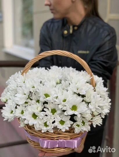 Хризантема