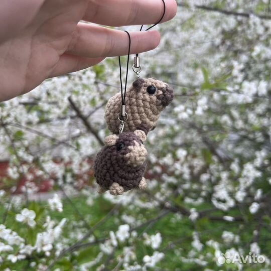 Вязаные капибары