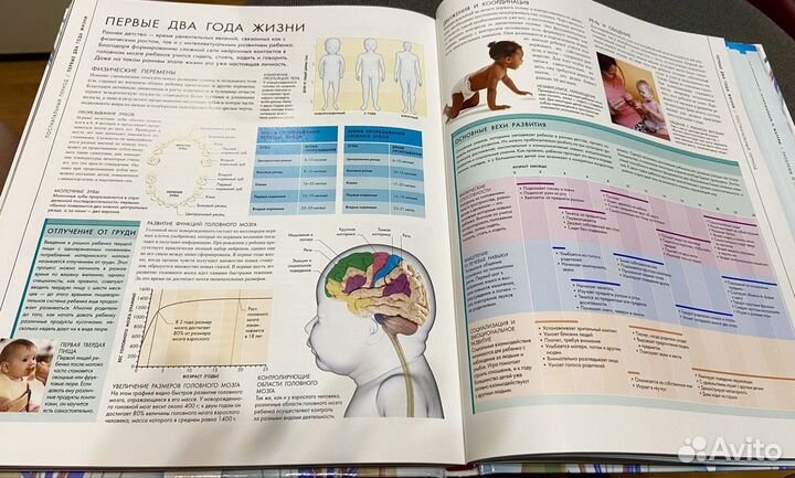 «Большая книга о беременности», Сара Брюэр (Новая)