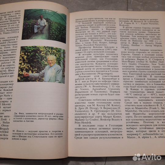 Клематисы. Риекстиня, Риекстиньш. 1990 г