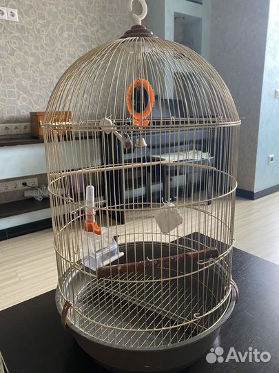 Клетка для попугая большая (75*34)