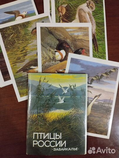 Набор открыток