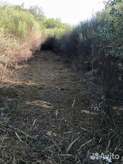 Мульчер Niubo TOP TTP 180, 2023