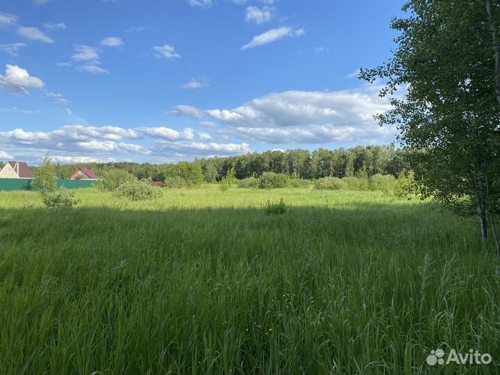Корма для животных, сено (самокос)
