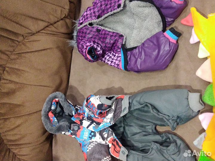 Одежда ля маленьких собак