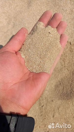 Ракушка кормовая