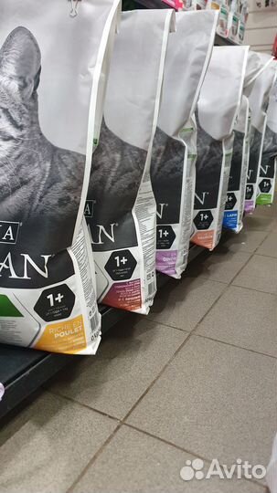 Влажный корм для кошек Pro Plan