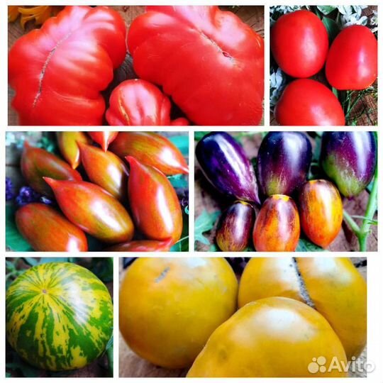 Комплект семян томатов (20 сортов)