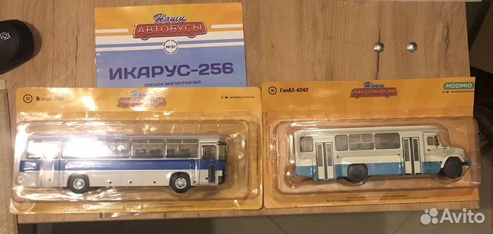 Наши автобусы