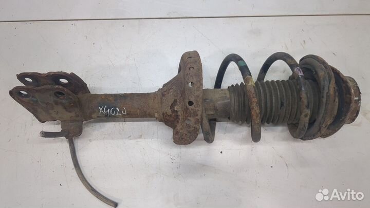 Амортизатор подвески Subaru Legacy Outback (B14)