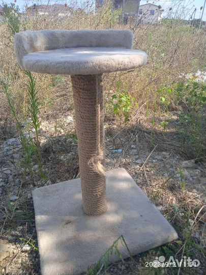 Когтеточка