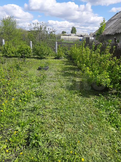 Дом 100 м² на участке 40 сот.