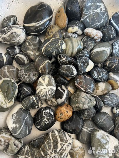 Отборные морские камни