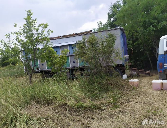 Продается пчелиный павильон