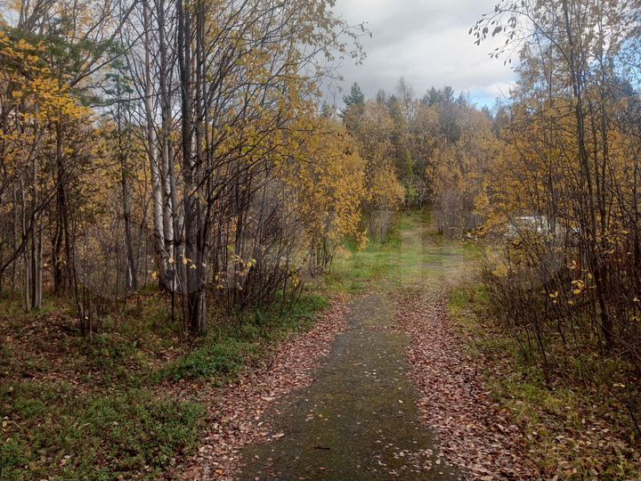 Участок 15 сот. (ИЖС)