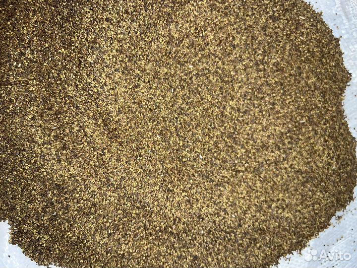 Семена люцерны