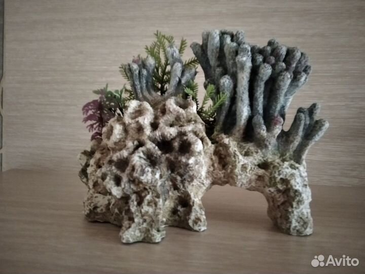 Для аквариума