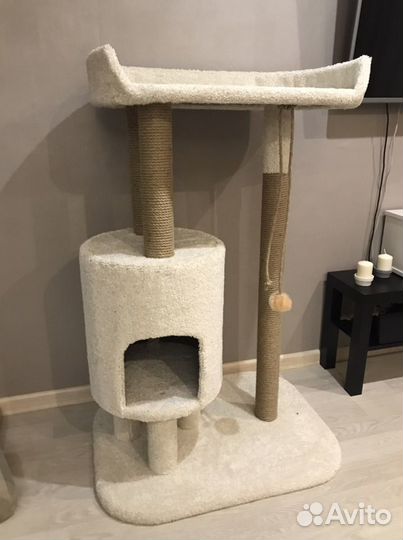 Когтеточка с домиком для мейн-куна «Падишах»