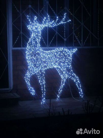 Гордый олень